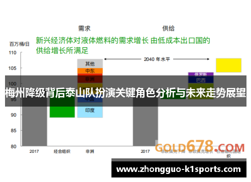 梅州降级背后泰山队扮演关键角色分析与未来走势展望 梅州降级背后泰山队扮演关键角色分析与未来走势展望