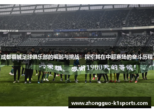 成都蓉城足球俱乐部的崛起与挑战：探索其在中超赛场的奋斗历程